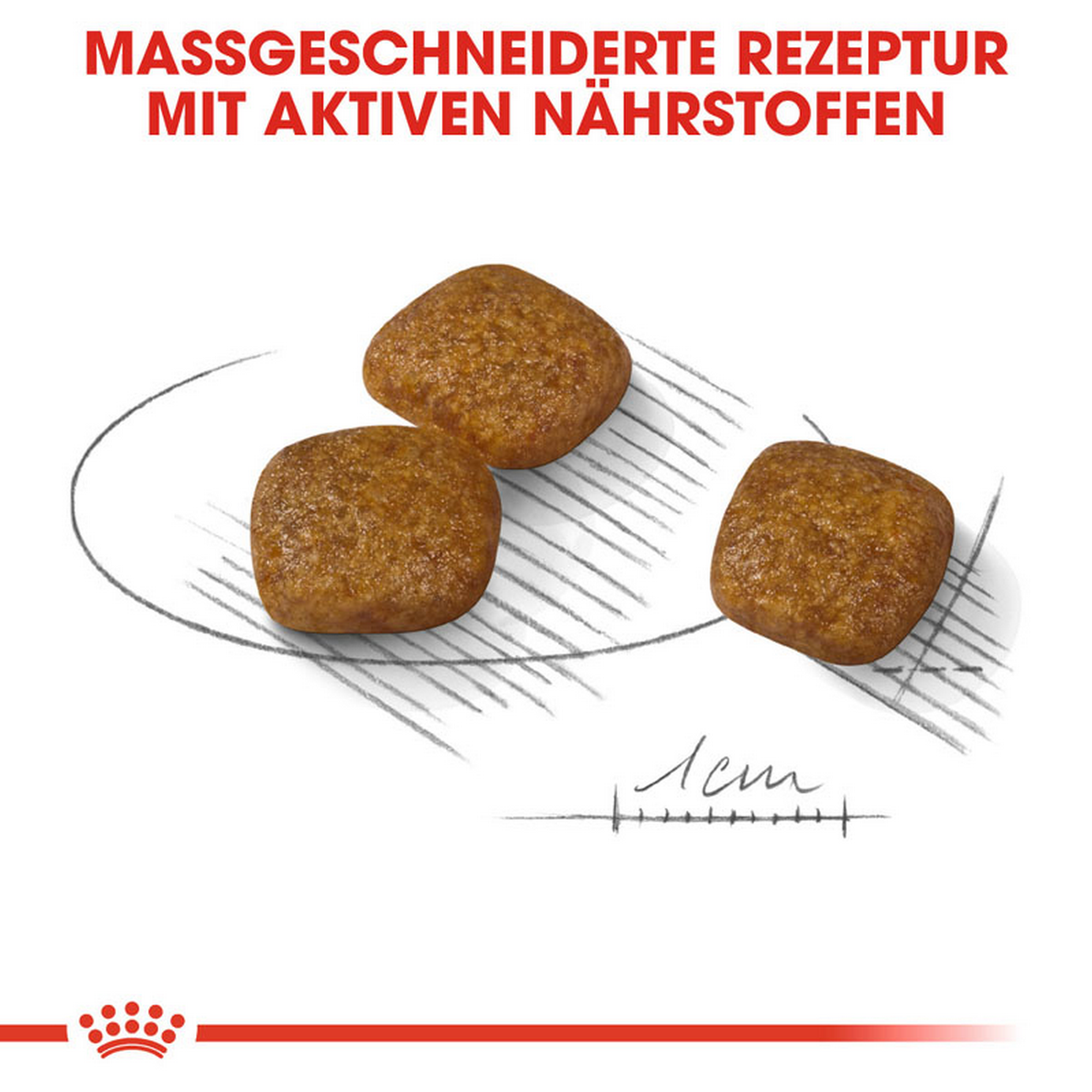 Hundetrockenfutter 'Urinary Care Adult' 3 kg