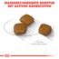 Hundetrockenfutter 'Urinary Care Adult' 3 kg