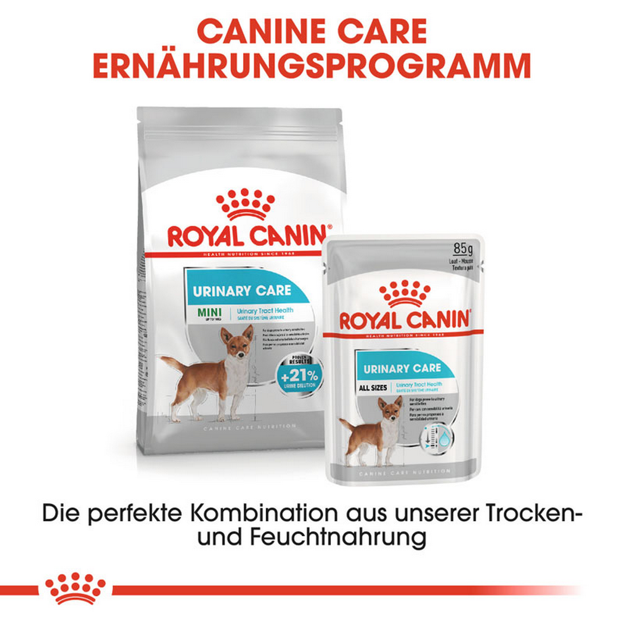 Hundetrockenfutter 'Urinary Care Adult' 3 kg