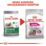 Hundetrockenfutter 'Mini Exigent Adult' 3 kg