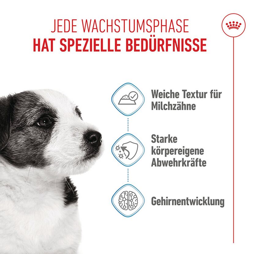 Hundenassfutter 'Mini Puppy' 85 g