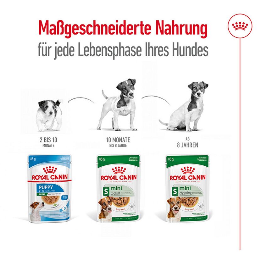 Hundenassfutter 'Mini Adult' 85 g