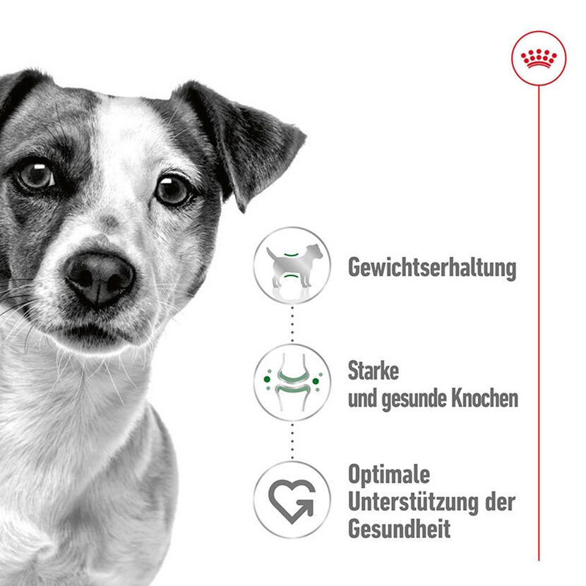 Hundenassfutter 'Mini Adult' 85 g