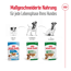 Hundenassfutter 'Mini Ageing 12+' 85 g