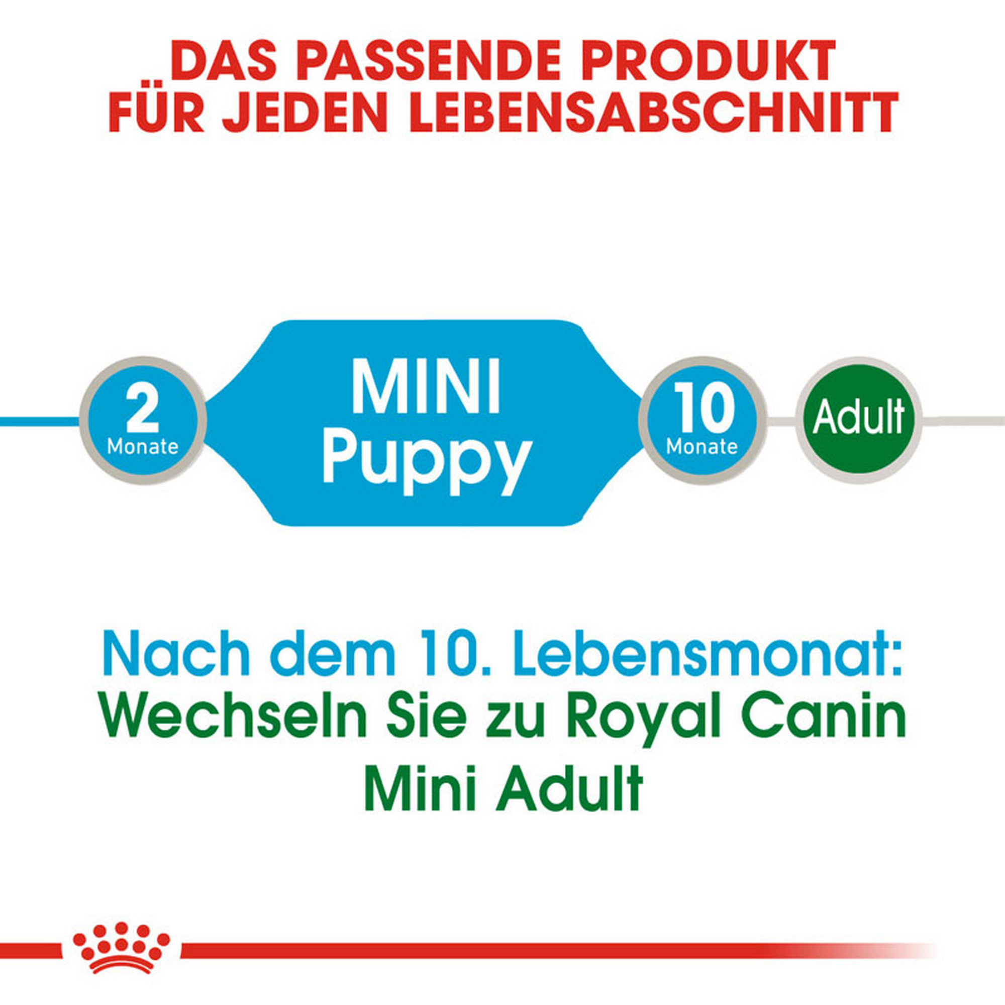 ROYAL CANIN Mini Puppy Welpenfutter Nass für kleine Hunde + product picture