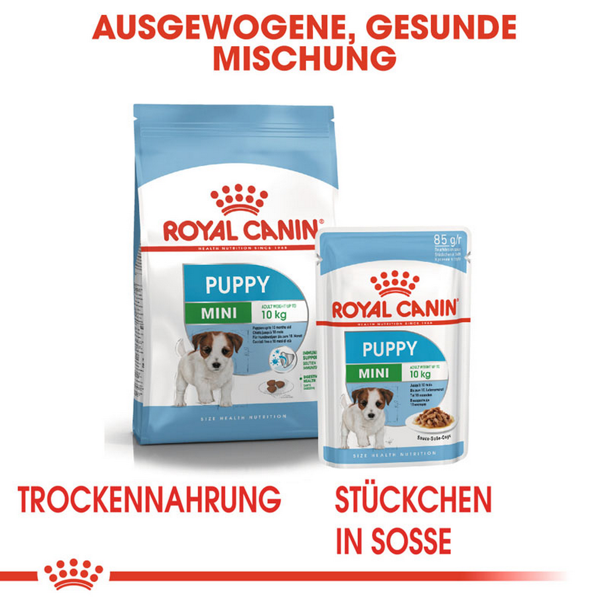 ROYAL CANIN Mini Puppy Welpenfutter Nass für kleine Hunde + product picture