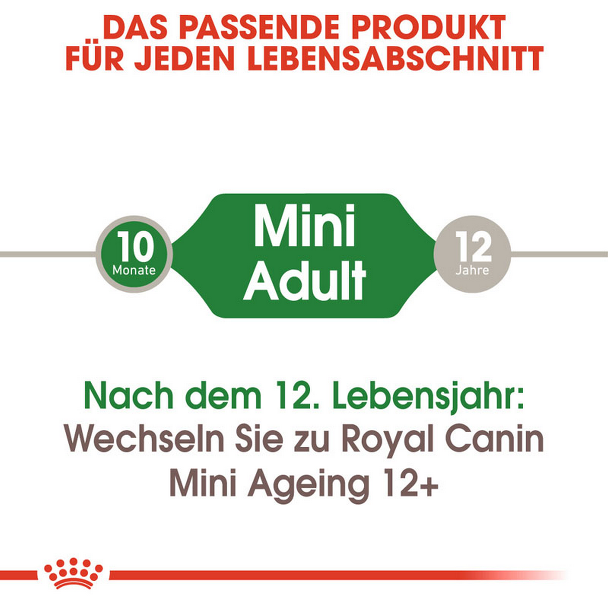 ROYAL CANIN MINI ADULT Nassfutter für ausgewachsene kleine Hunde + product picture