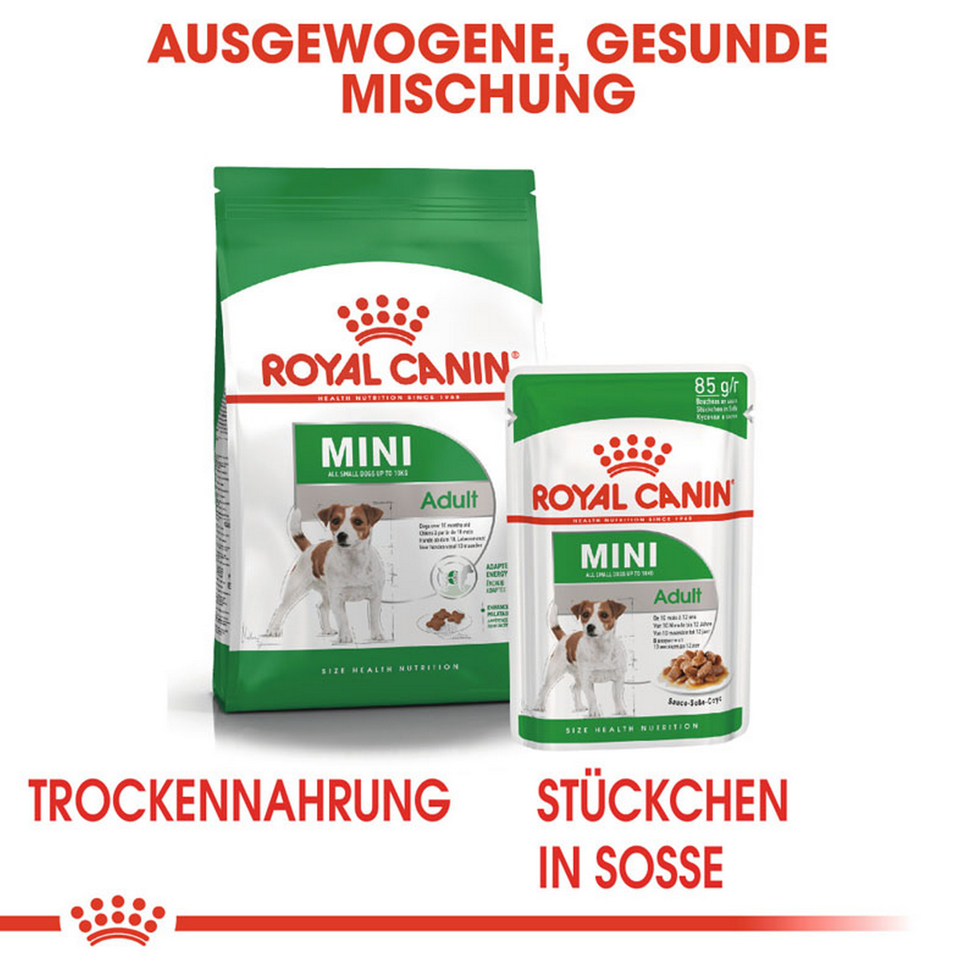 ROYAL CANIN MINI ADULT Nassfutter für ausgewachsene kleine Hunde + product picture