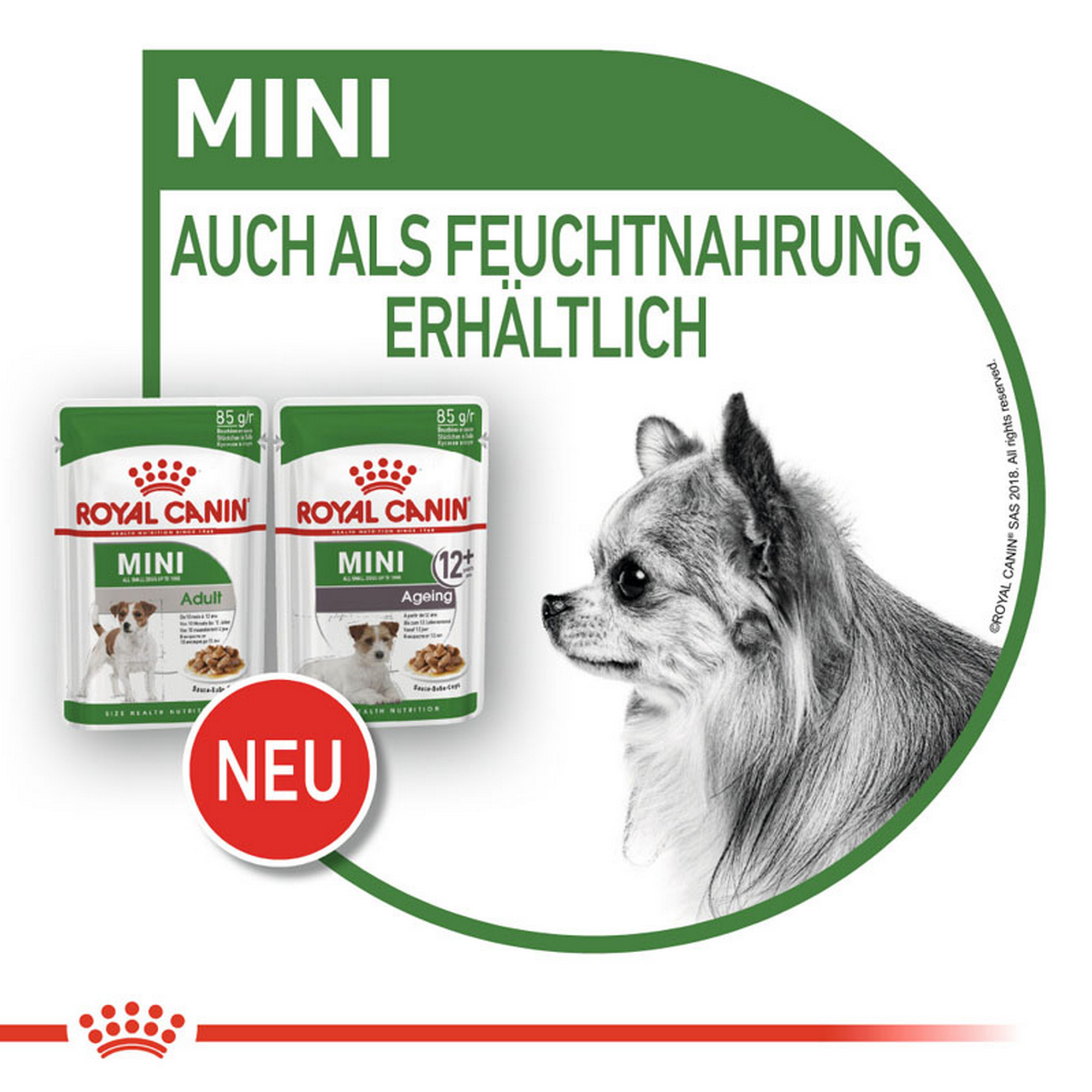 ROYAL CANIN MINI ADULT Nassfutter für ausgewachsene kleine Hunde + product picture