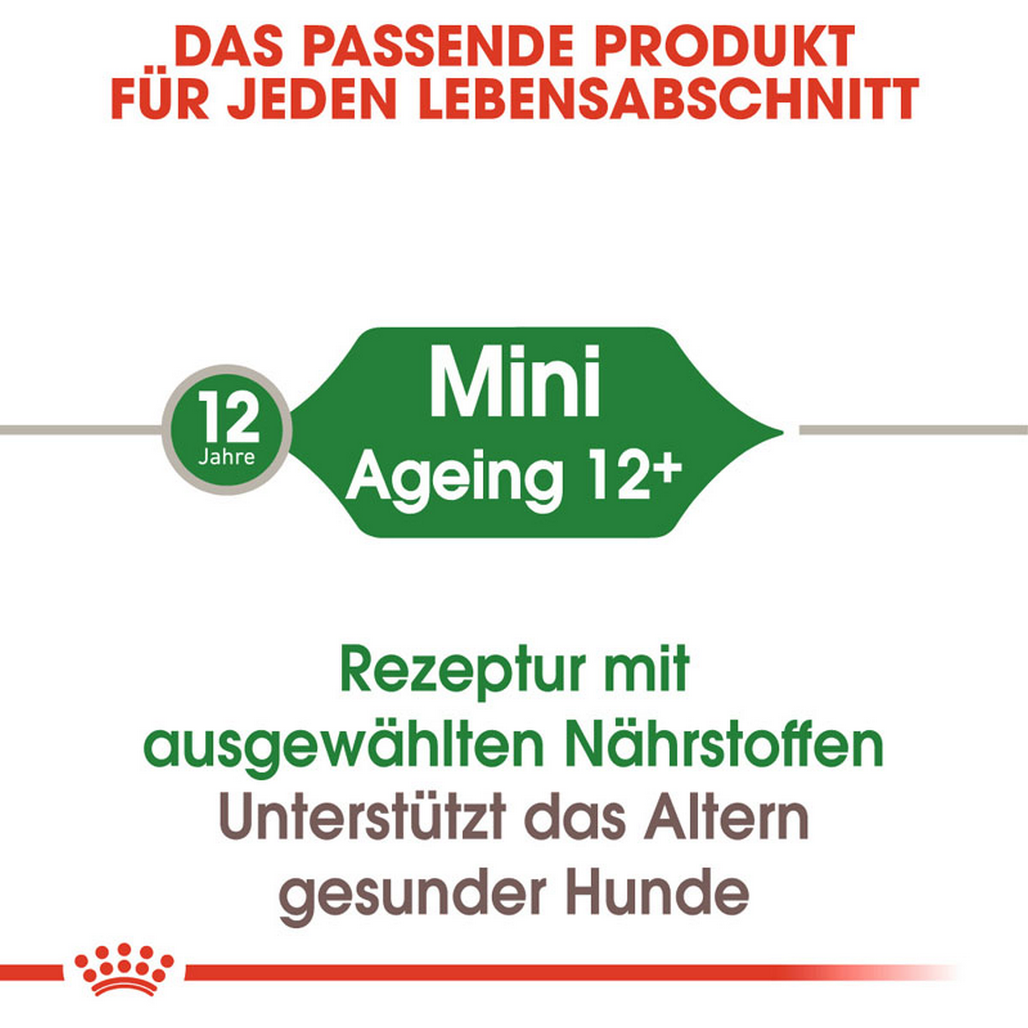 ROYAL CANIN MINI AGEING 12+ Nassfutter für ältere kleine Hunde + product picture