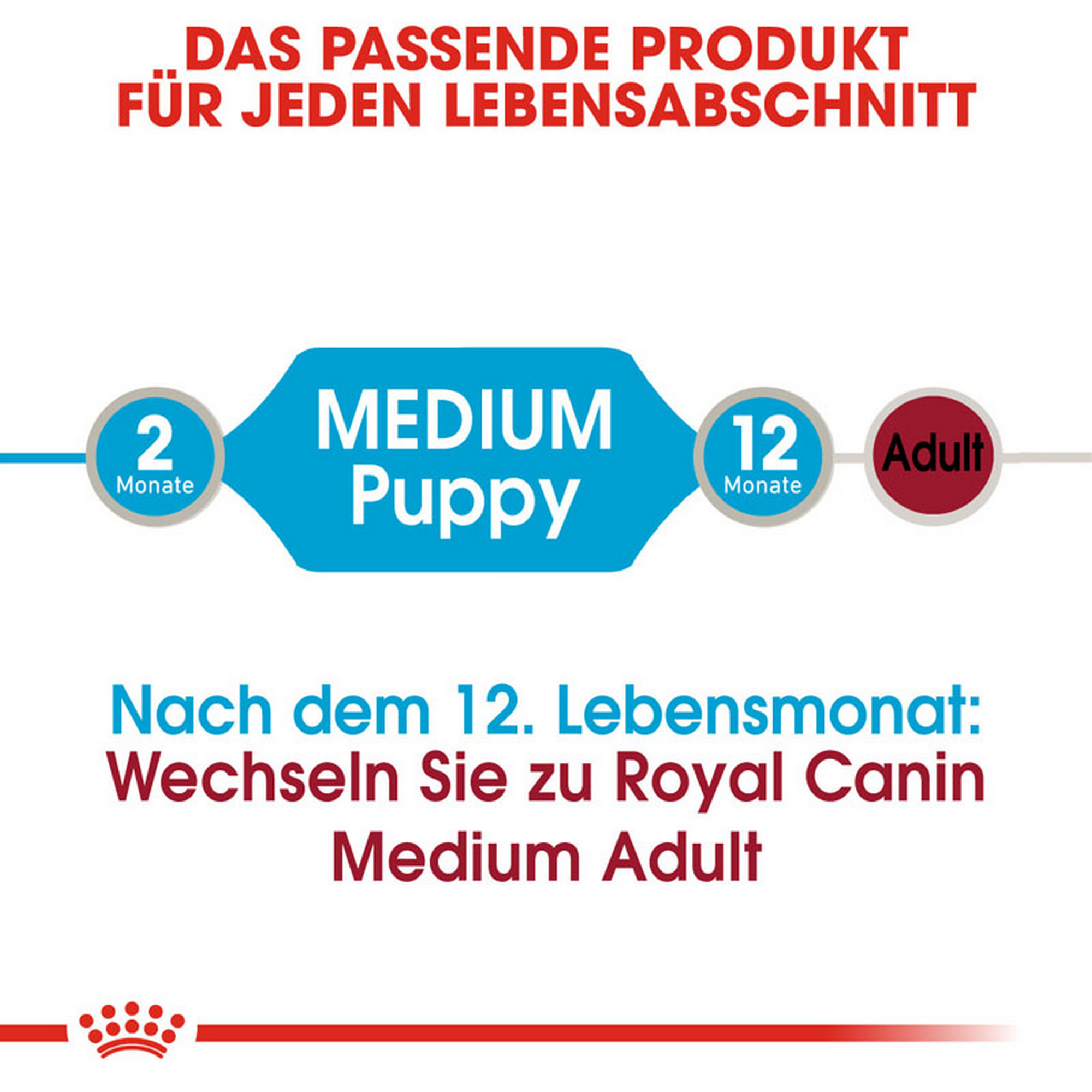 ROYAL CANIN MEDIUM PUPPY Welpenfutter nass für mittelgroße Hunde + product picture
