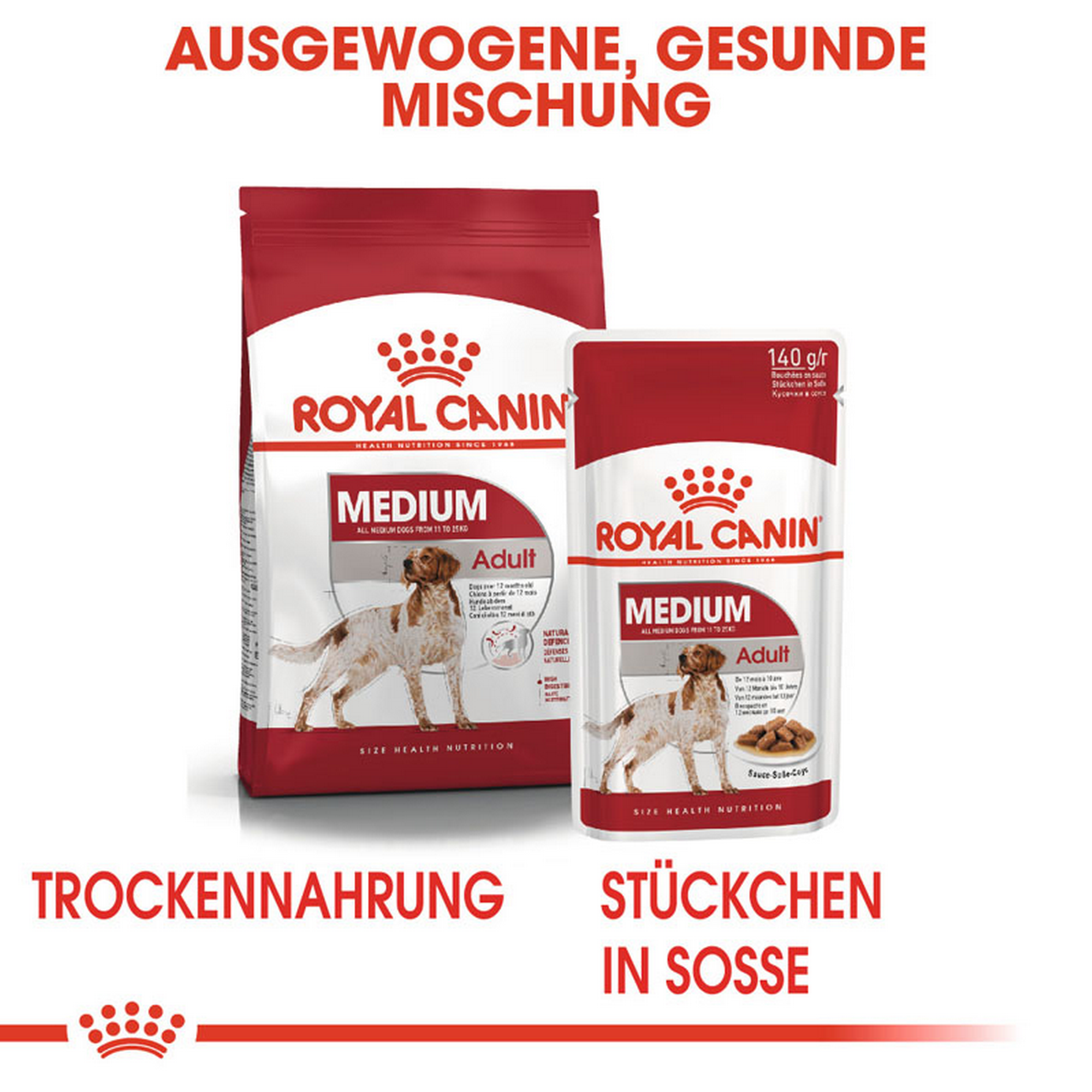 ROYAL CANIN MEDIUM ADULT Nassfutter für mittelgroße Hunde + product picture