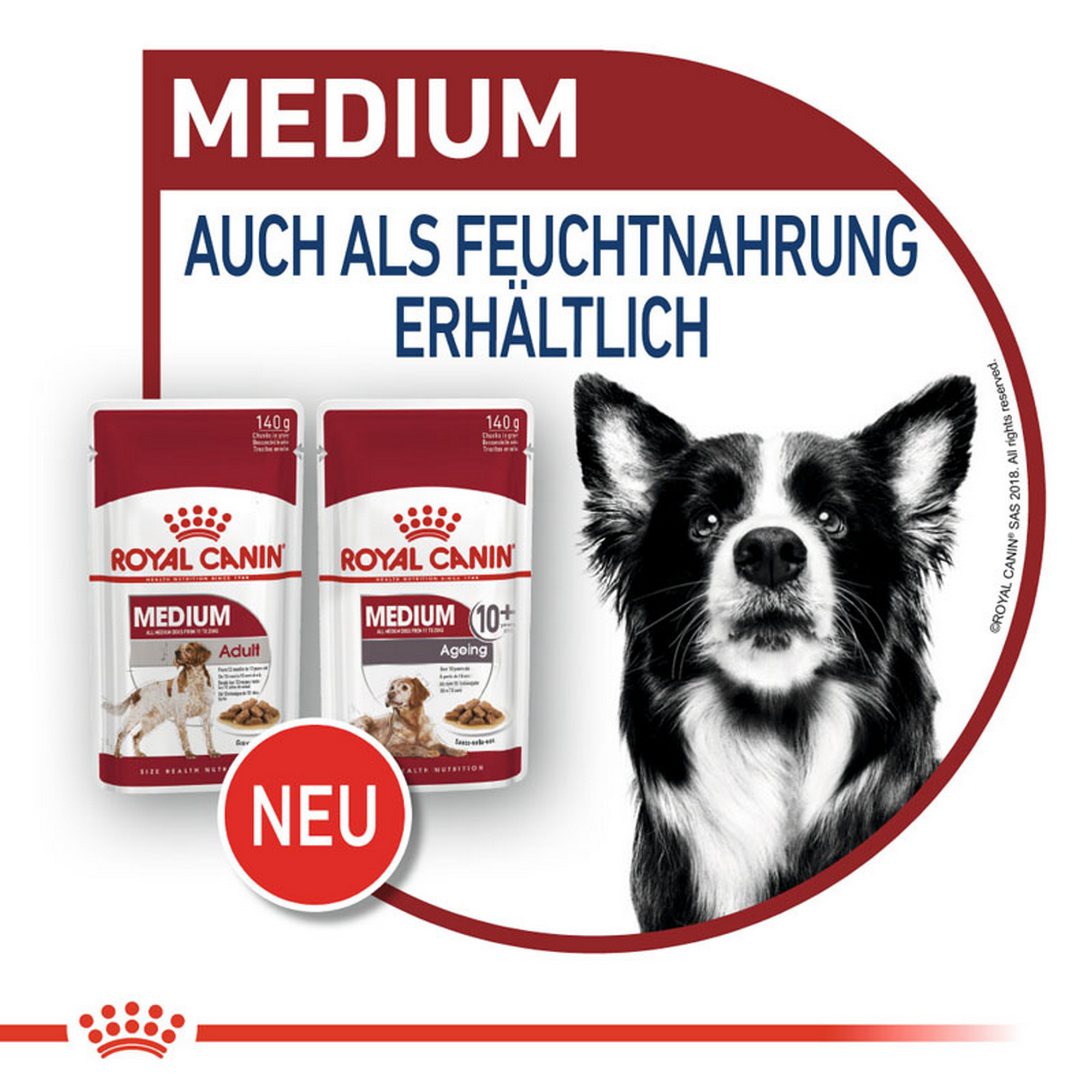 ROYAL CANIN MEDIUM ADULT Nassfutter für mittelgroße Hunde + product picture