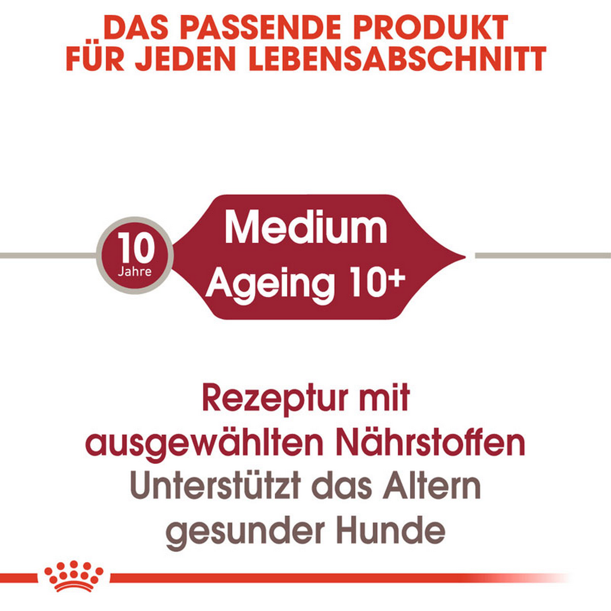 ROYAL CANIN MEDIUM AGEING 10+ Nassfutter für ältere mittelgroße Hunde + product picture