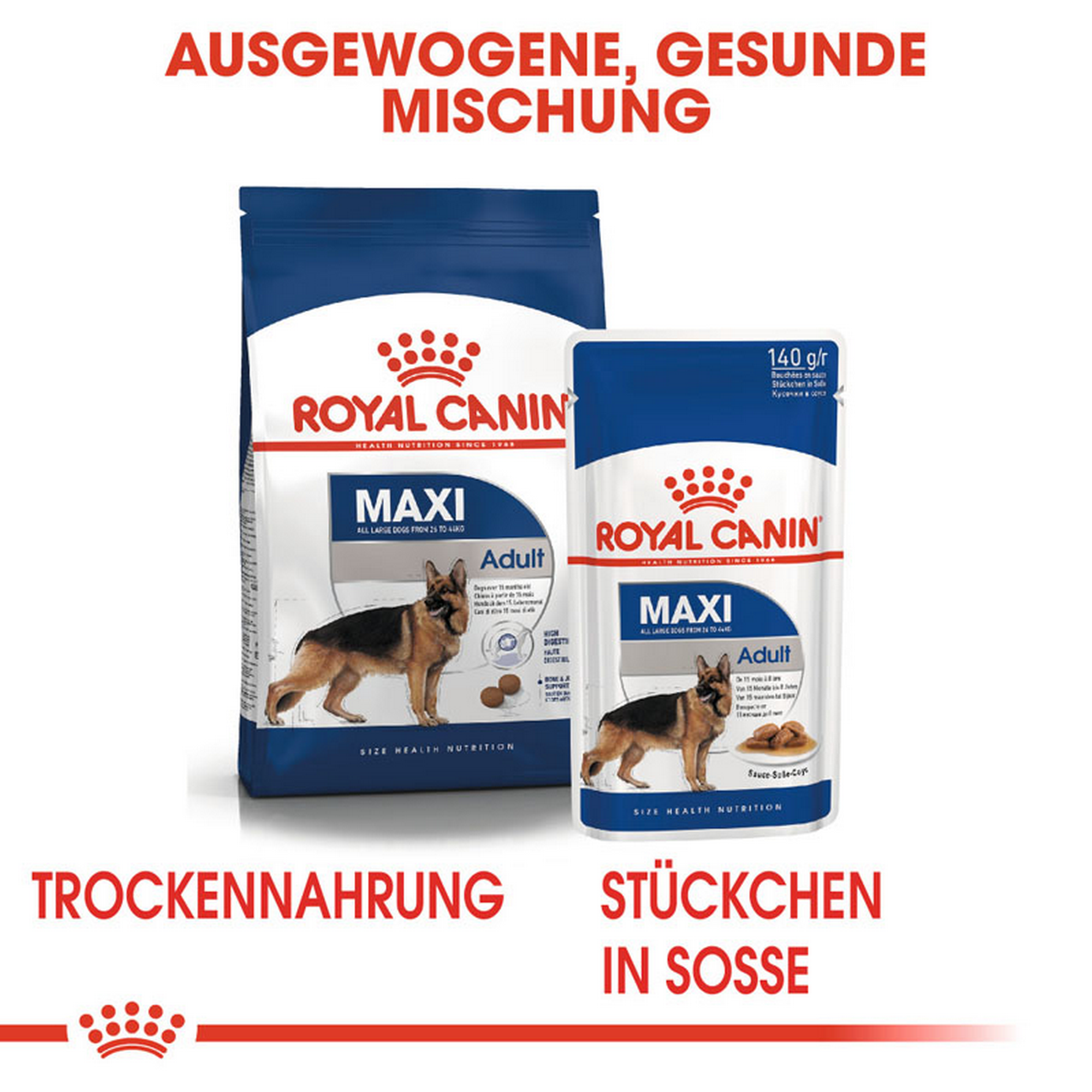 ROYAL CANIN MAXI ADULT Nassfutter für große Hunde + product picture