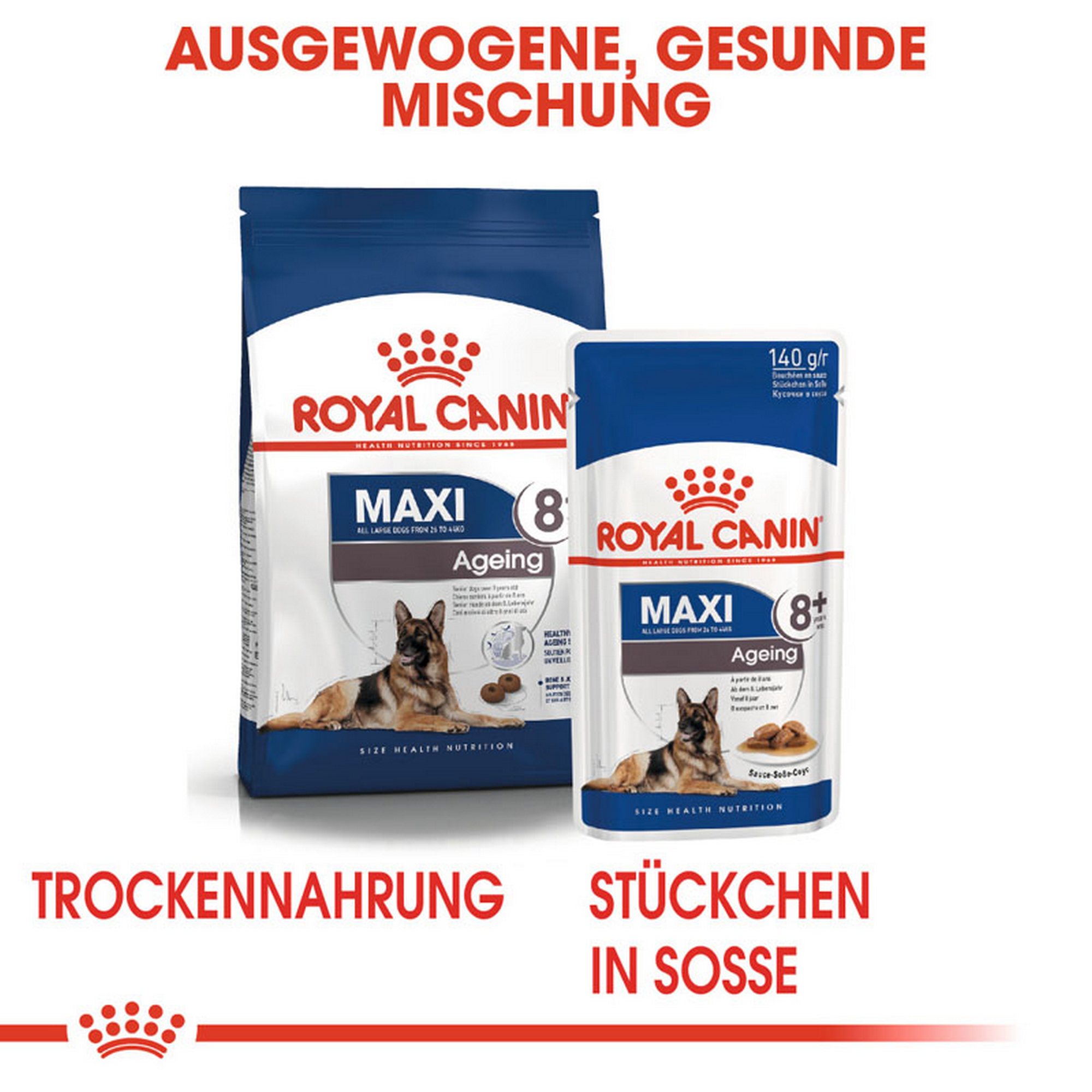 ROYAL CANIN MAXI Ageing 8+ Nassfutter für ältere große Hunde + product picture