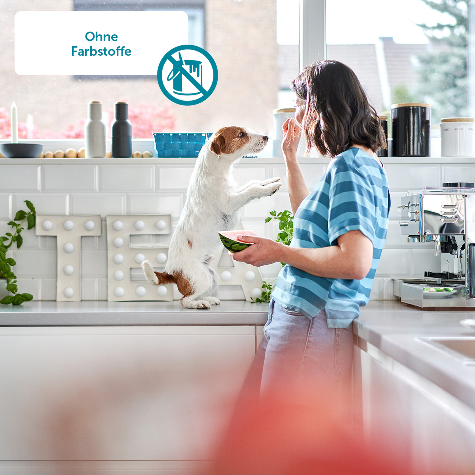 Hunde-Nassfutter mit Entenherzen 400 g