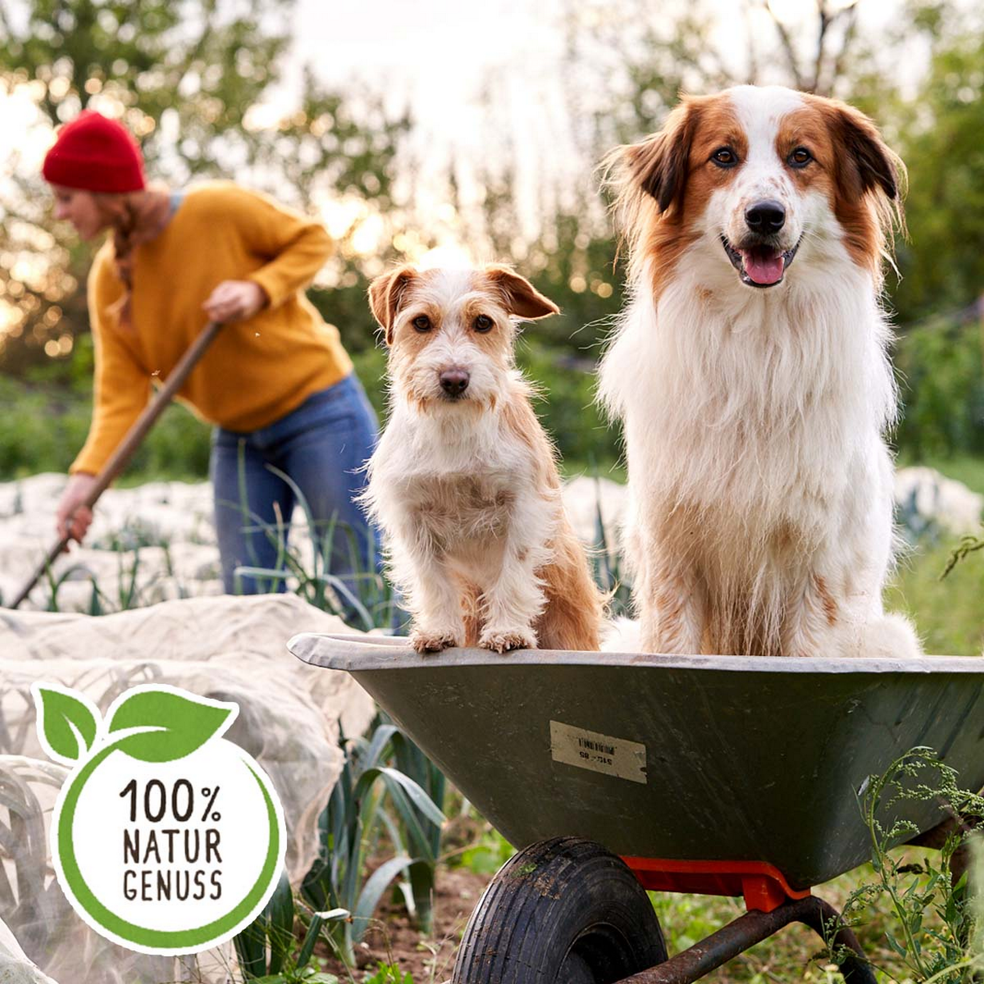 Charlys Naturkost Kalb, Huhn, Kartoffeln, Kräuter 400 g