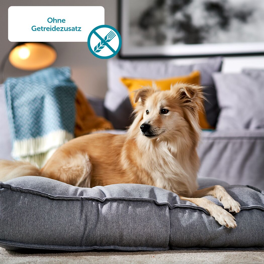 Hundesnack 'Saftige Würstchen' 60 g