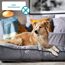 Hundesnack 'Saftige Würstchen' 60 g