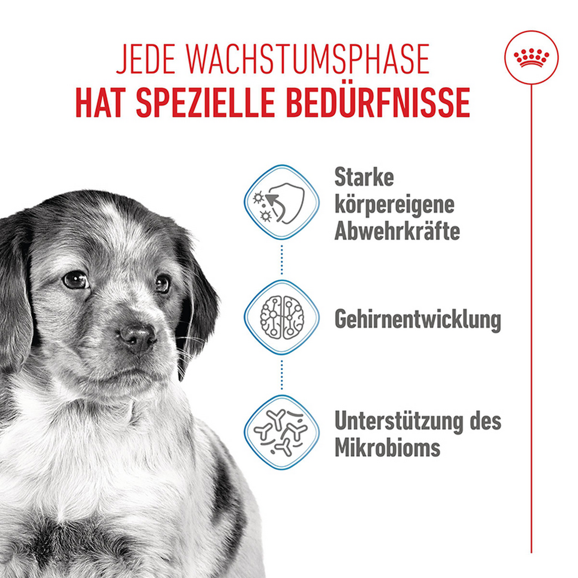 Hundetrockenfutter 'Medium Adult' 15 kg