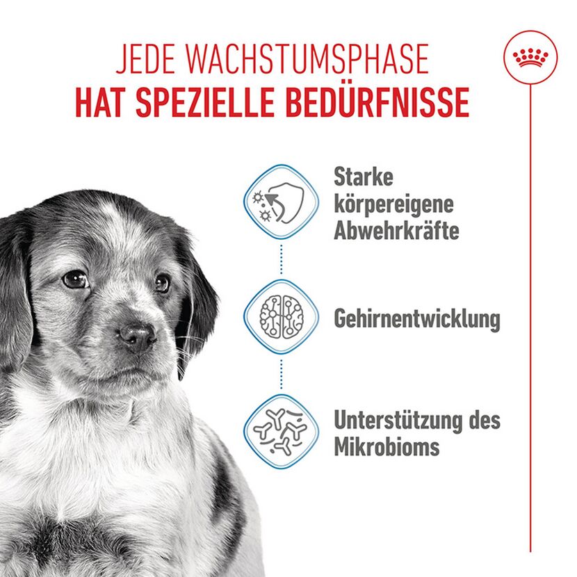 Hundetrockenfutter 'Medium Adult' 15 kg