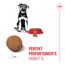 Hundetrockenfutter 'Maxi Puppy' 4 kg