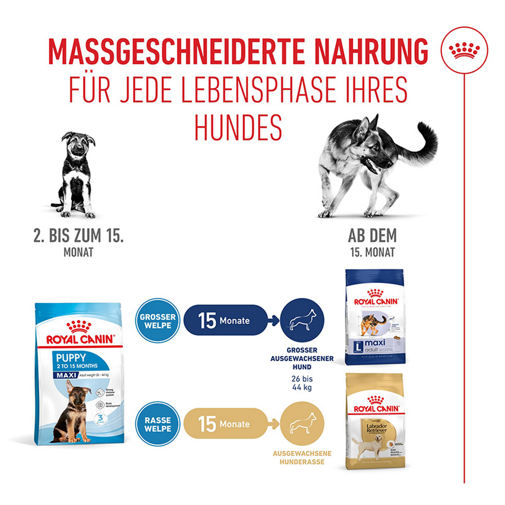 Hundetrockenfutter 'Maxi Welpen' 15 kg