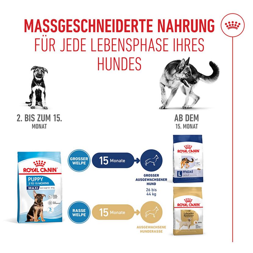 Hundetrockenfutter 'Maxi Welpen' 15 kg