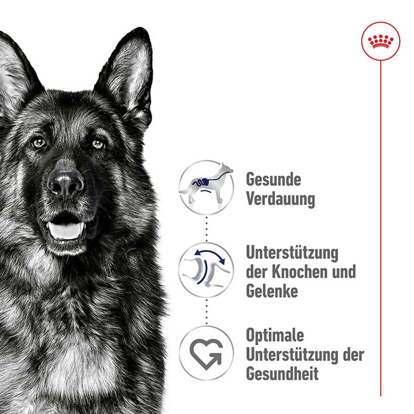 Hundetrockenfutter 'Maxi Adult' 15 kg