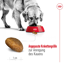 Hundetrockenfutter 'Maxi Adult' 15 kg