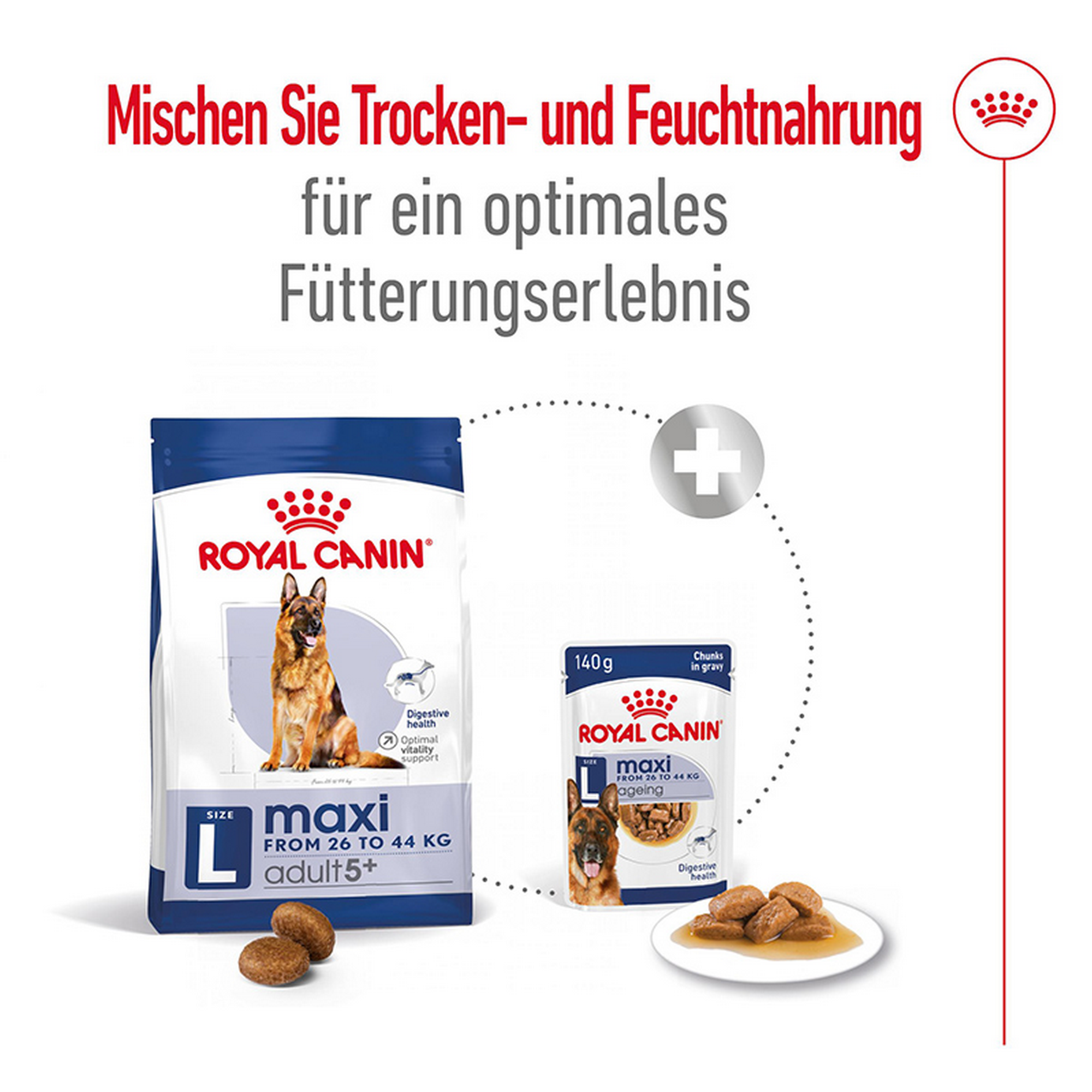 Hundetrockenfutter 'Maxi Adult 5+' 4 kg