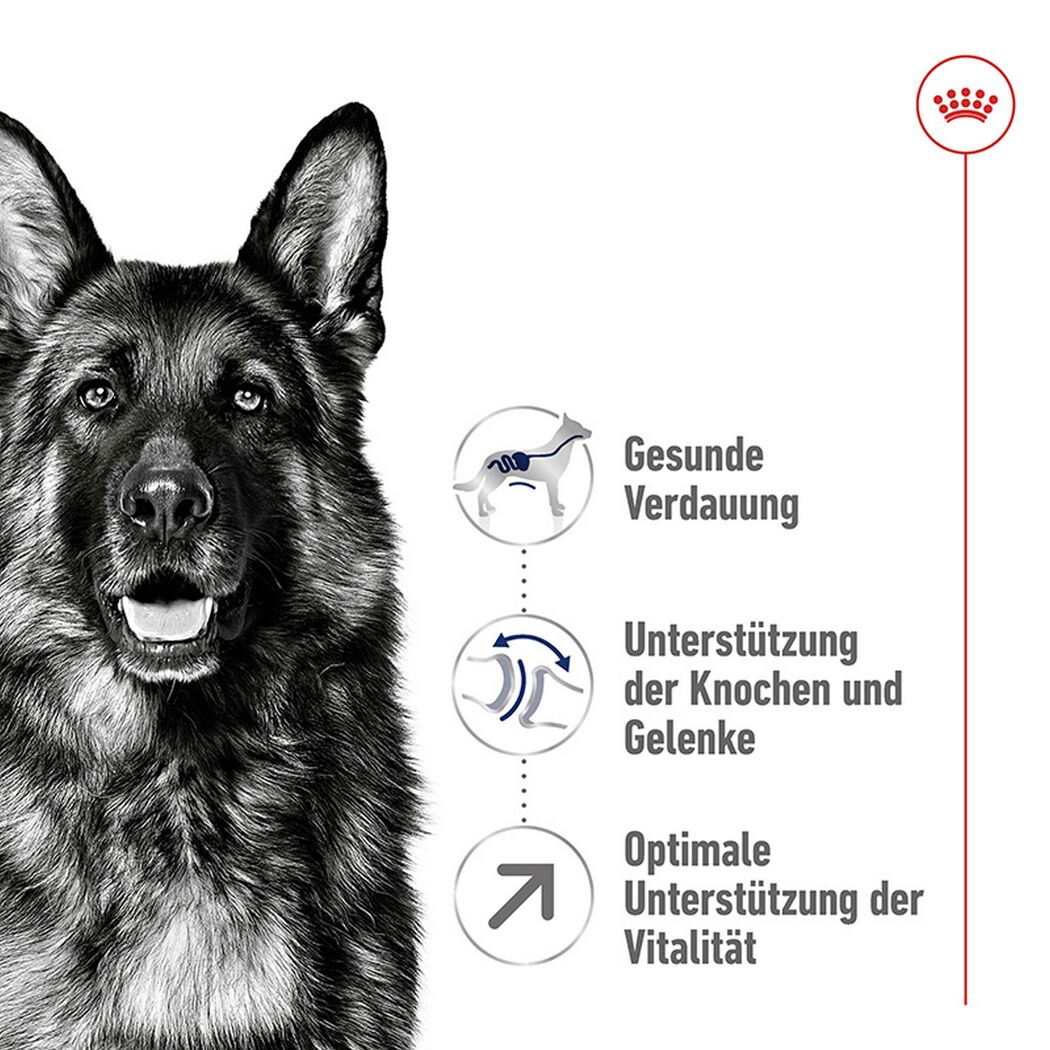 Hundetrockenfutter 'Maxi Adult' 15 kg