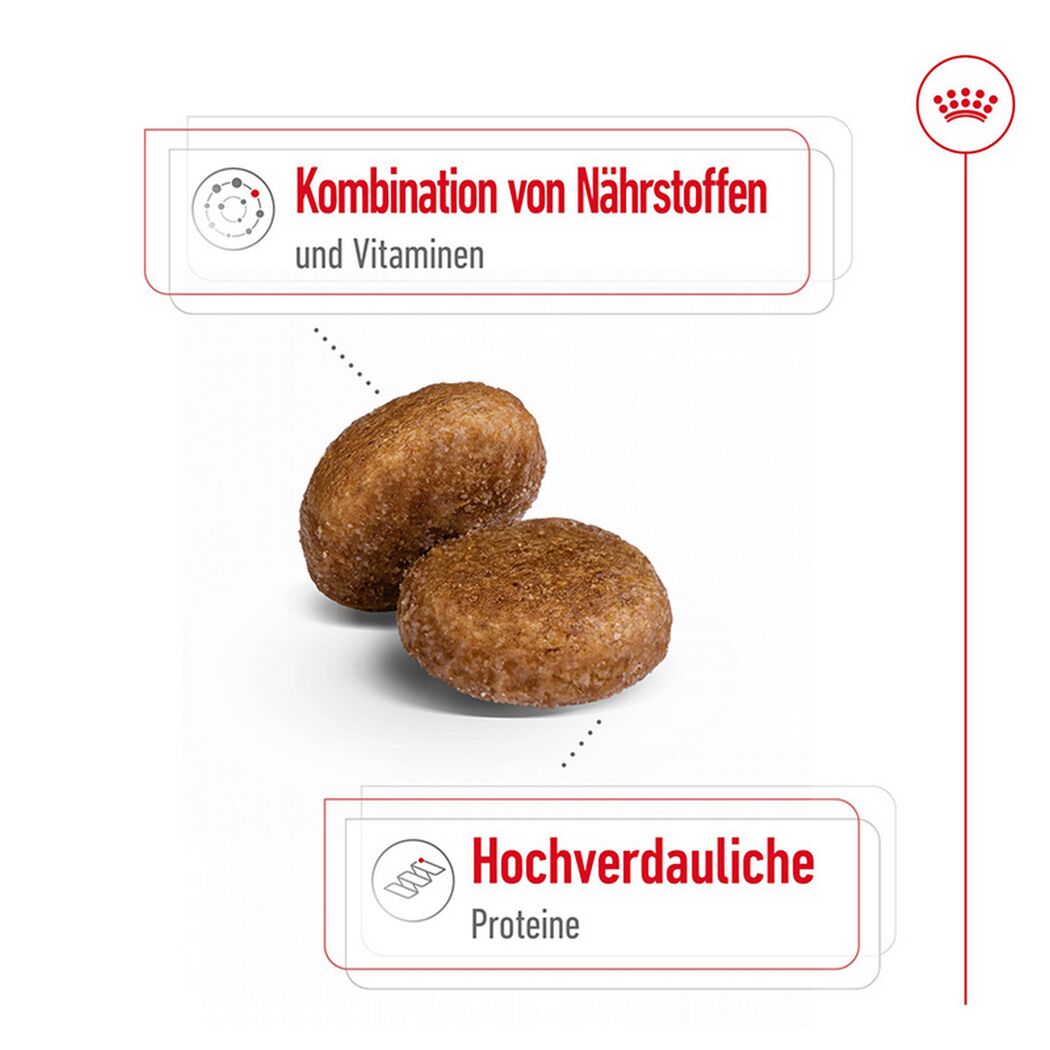 Hundetrockenfutter 'Maxi Adult' 15 kg