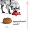 Hundetrockenfutter 'Maxi Adult' 15 kg