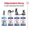 Hundetrockenfutter 'Maxi Adult' 15 kg
