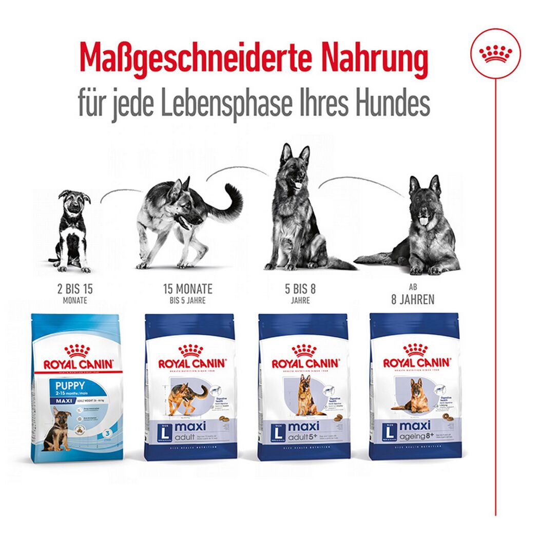 Hundetrockenfutter 'Maxi Adult' 15 kg