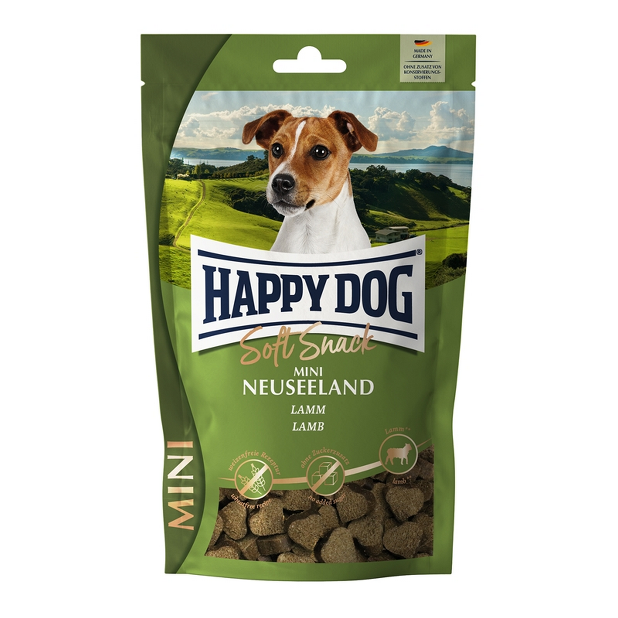hauptbild