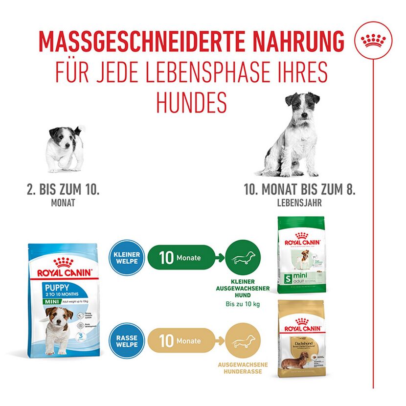 Hundetrockenfutter 'Mini Adult' 2 kg