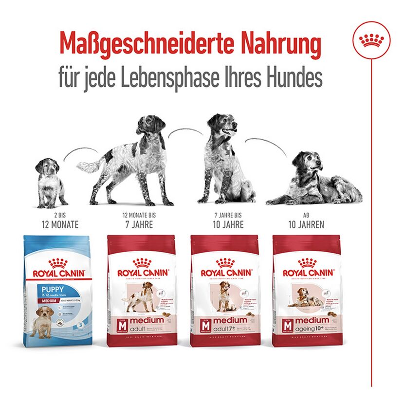 Hundetrockenfutter 'Medium Adult' 4 kg