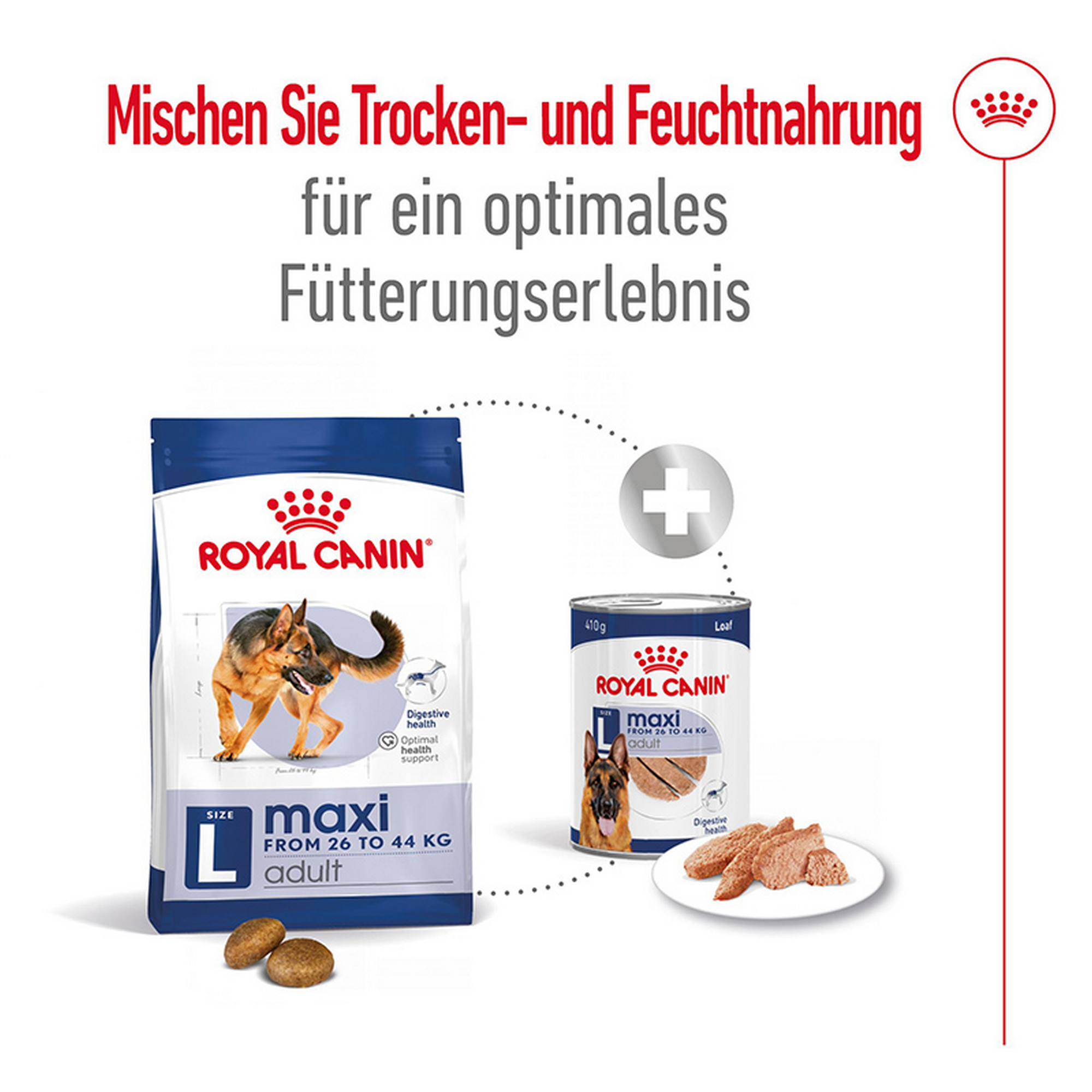 Hundetrockenfutter 'Maxi Adult' 4 kg