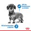 Hundenassfutter 'Light Weight Care X-Small' 1,5 kg