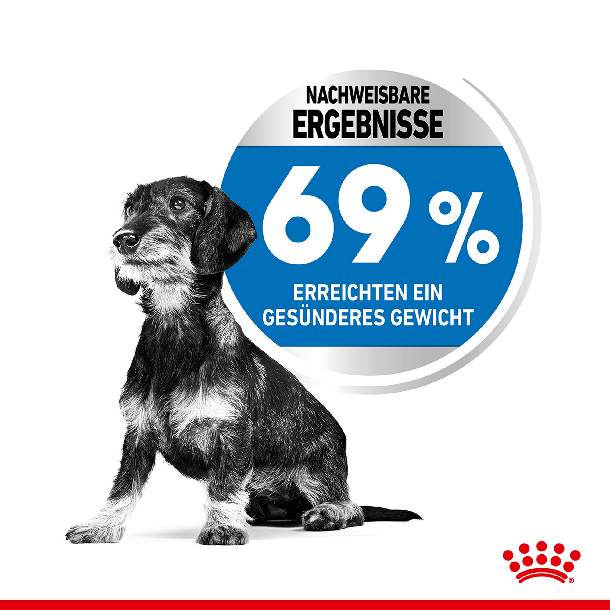 Hundenassfutter 'Light Weight Care X-Small' 1,5 kg
