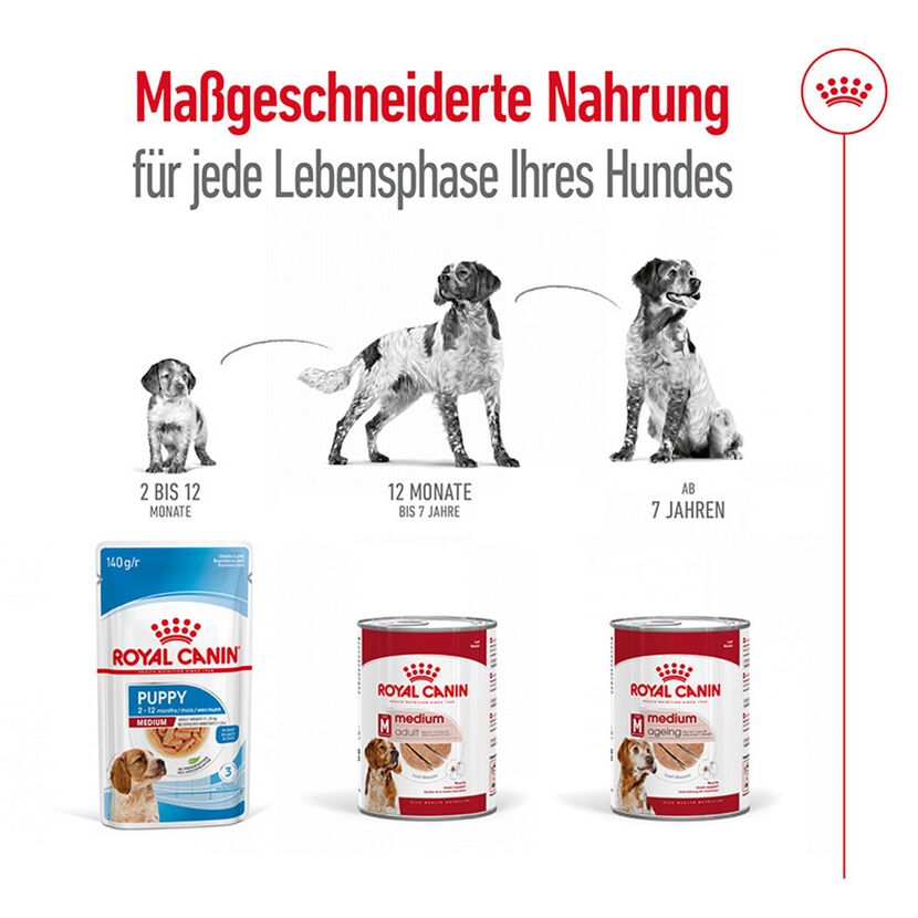 Hundenassfutter 'Medium Ageing Mousse' 410 g
