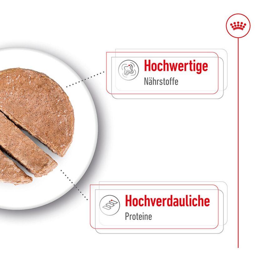 Hundenassfutter 'Maxi Adult Mousse' 410 g
