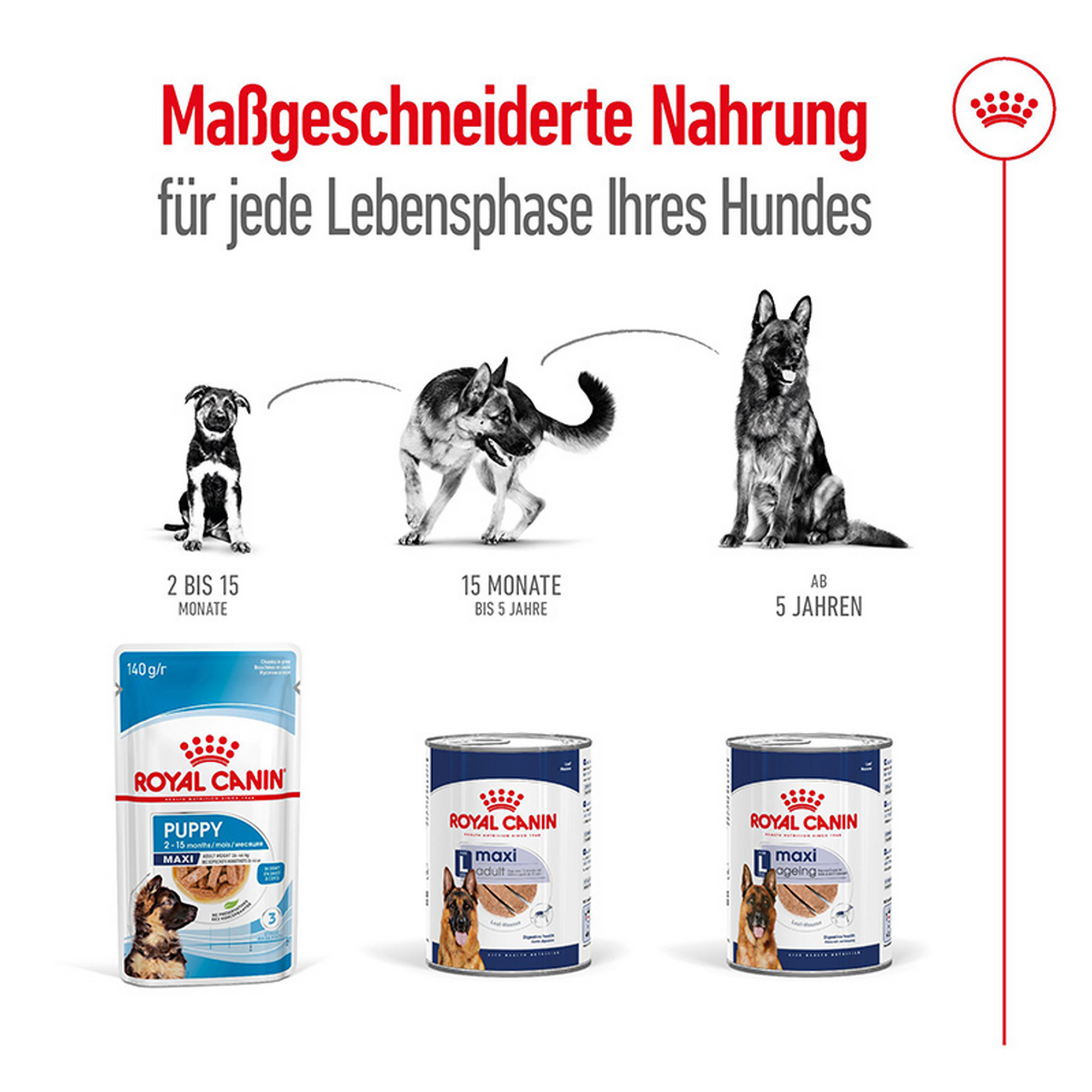 Hundenassfutter 'Maxi Ageing Mousse' 410 g