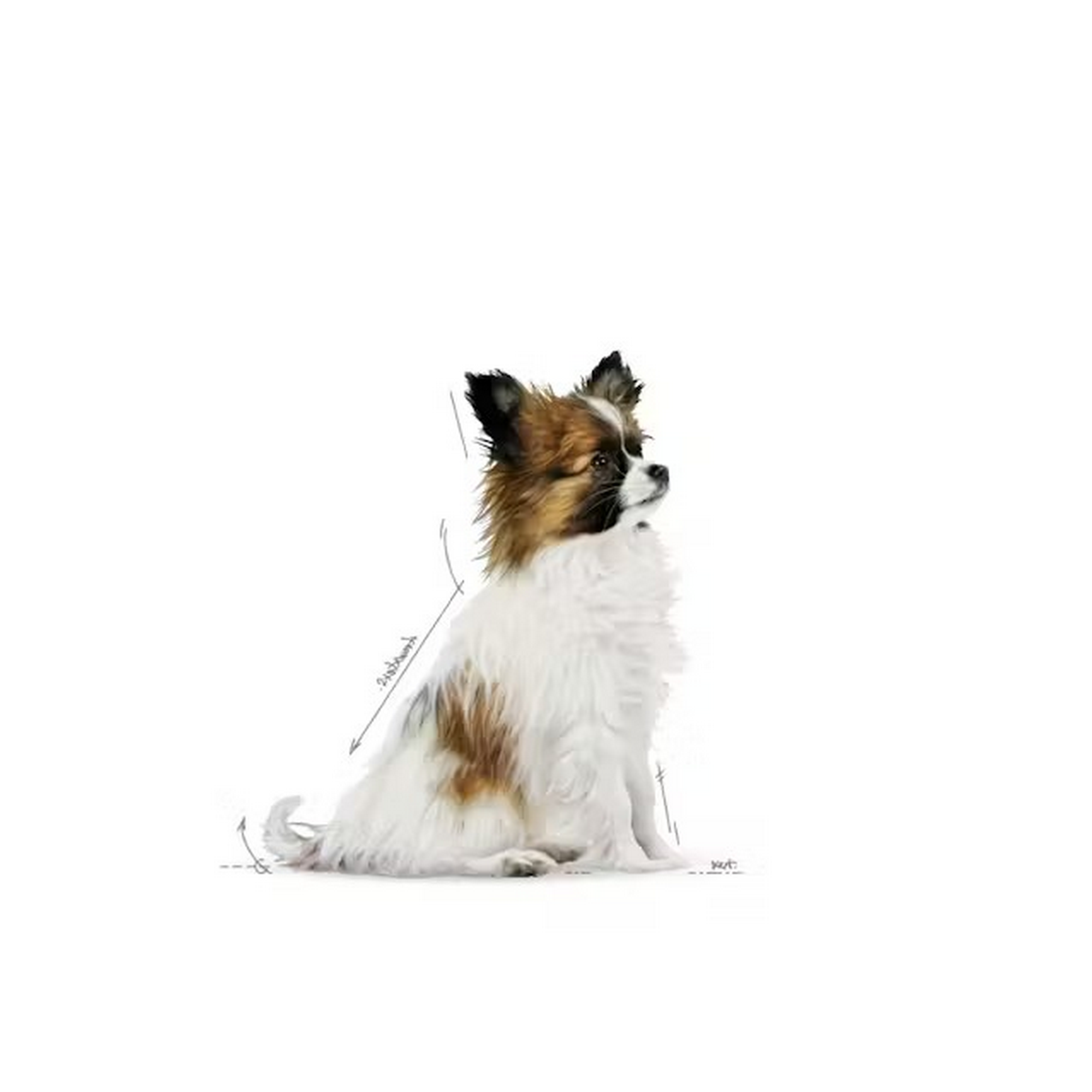 Hundenassfutter 'X-Small Puppy' 85 g