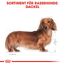 Hundetrockenfutter 'Dachshund Adult ' 1,5 kg