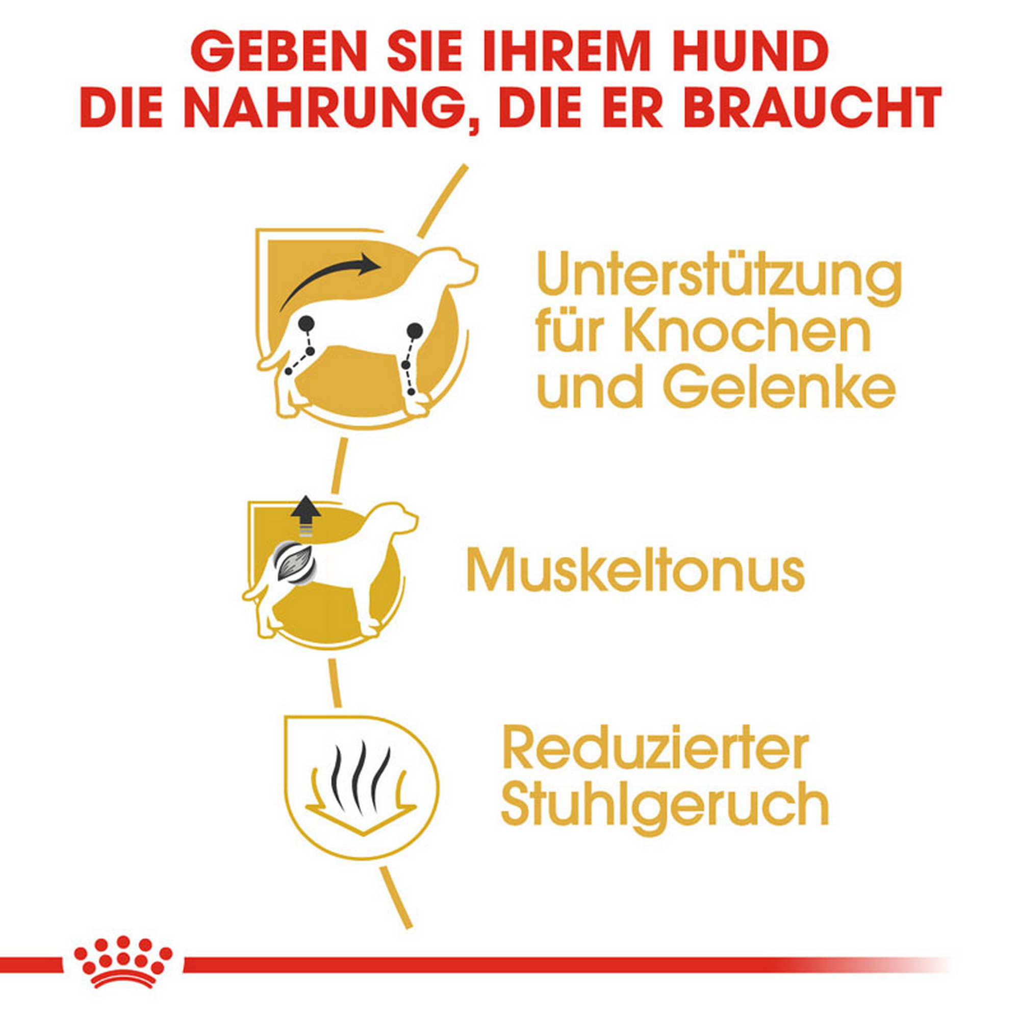 Hundetrockenfutter 'Dachshund Adult ' 1,5 kg