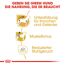 Hundetrockenfutter 'Dachshund Adult ' 1,5 kg